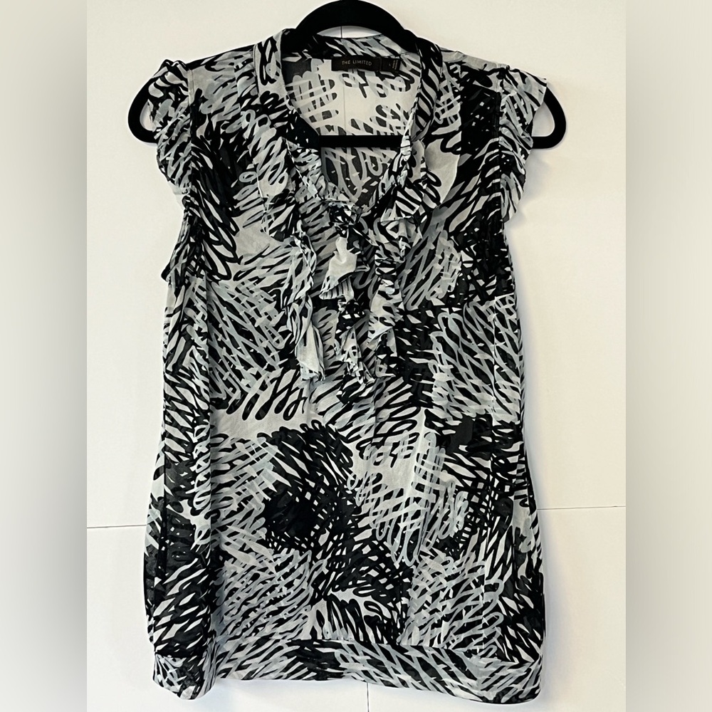 EUC Women’s The Limited Translucent Sheer Ruffled Blouse. Size Large.